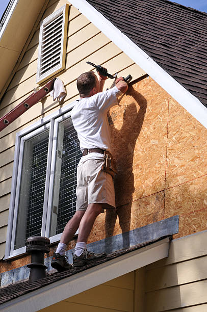 Shed Removal in Notre Dame, IN